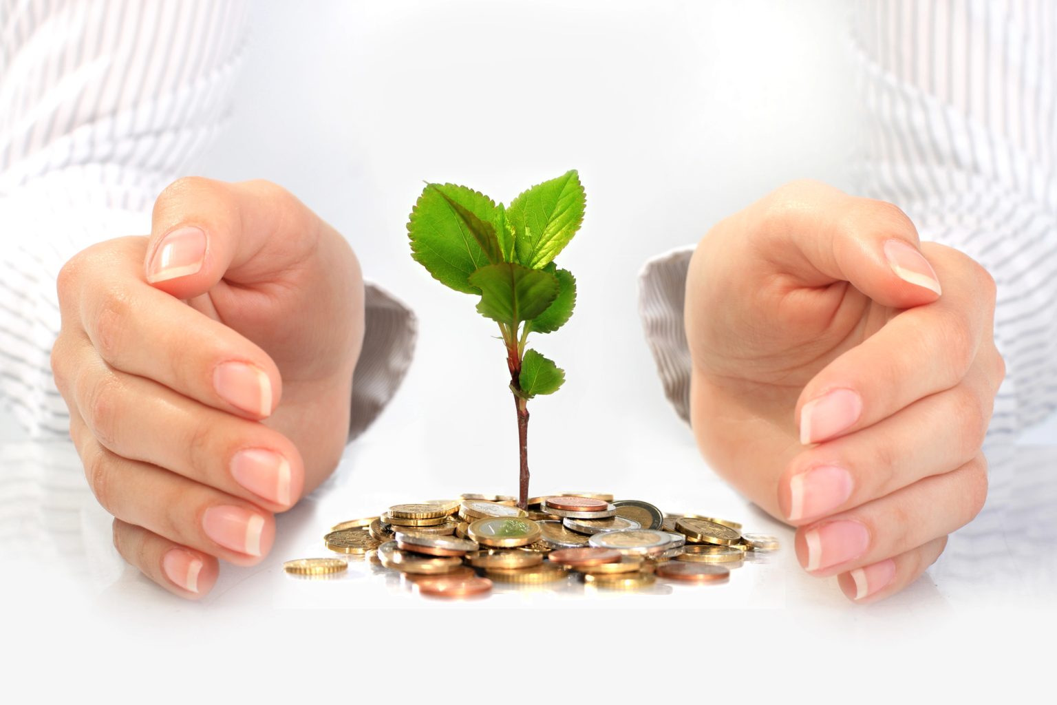 ידיים של בחורה שומרות על צמיחת הכסף - growth lab