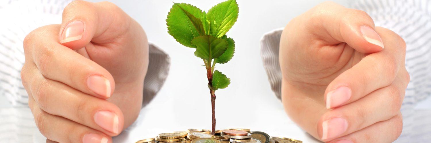 ידיים של בחורה שומרות על צמיחת הכסף - growth lab