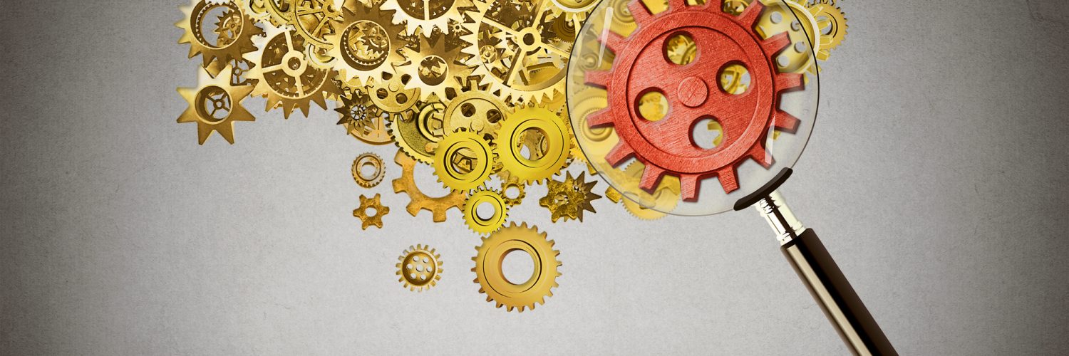 אבחון עסקי, תהליכים